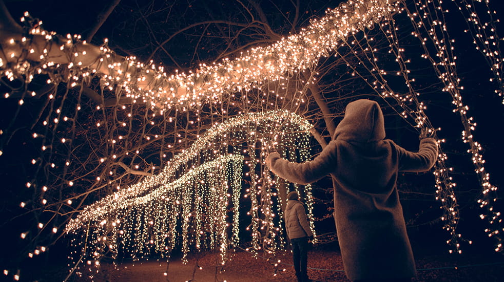 Best winter illuminations: Christmas Garden at Pillnitz Palace, Dresden